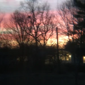 A blurry picture of trees and the sky at sunset.